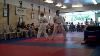 Dynamic Taekwon Do academy Hollywood Fl ' trailer '