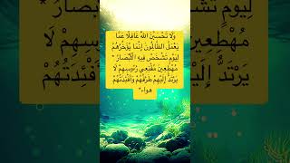 🌹#سورة_إبراهيم *الي الله المشتكى🌹#قرآن سورة إبراهيم