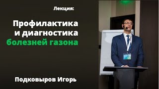 Профилактика и диагностика болезней газона