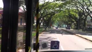 [SMRT Buses] MAN A22 NL323F - SMB273P on Service 75