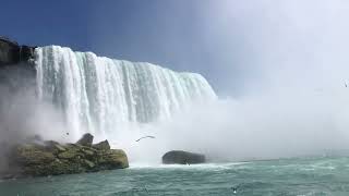 Niagara Falls Boat Tour