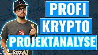 Krypto Projekte Analysieren - Due Diligence bei Krypto Investments!