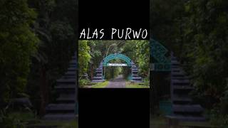 Alas purwo #alaspurwo #alaspurwobanyuwangi #misteri #mitos