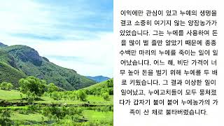 생명을 소중히 여기지 않는 누에농가