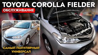 КУПИЛИ TOYOTA FIELDER 4WD❗️ СКОЛЬКО СТОИТ ОБСЛУЖИТЬ САМЫЙ НАРОДНЫЙ УНИВЕРСАЛ❓ АКТУАЛЬНЫЕ ЦЕНЫ