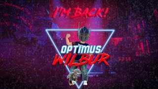 Optimus Wilbur: I'm back! But where have I been hiding?