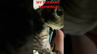 human meowing #catty #catbreed #cattys #musicgenre #catlover #caty #catactivity #cute #kittty