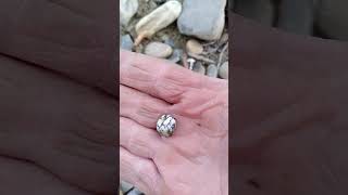 When this kootenay creekbed is dry  it's full of beautiful  Gemstones