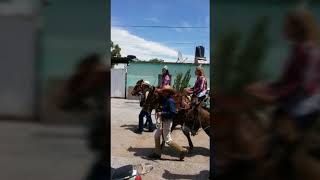 JAULA DE ABAJO  PINOS ZACATECAS (RESUMIDO EN FOTOS )  VOS DE MANDO - DE CORAZON RANCHERO