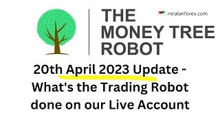 MoneyTree Trading Robot - Update on our Live Trading Account - 20th April 2023