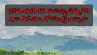 తిరుమల కొండ పైన వేంకటేశ్వర స్వామి రూపం,స్వామి  కొలువై ఉన్నారనడానికి ఇదిఒక నిదర్శనంచూసిన వారు ధన్యులు