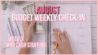 Weekly Budget Check-in | Mini Cash Stuffing | How Are Things Going? | Low Income Single Mom Budget