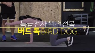 [군트] 특급전사 완전정복 2편 (코어운동편)