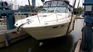 Sea Ray 310 SOLD by Sea Lake Yachts LLC Seabrook,