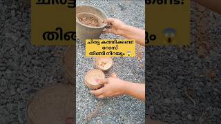 ചിരട്ട ഉണ്ടോ?? റോസ് തിങ്ങി നിറയും /poppy vlogs /rootting rose