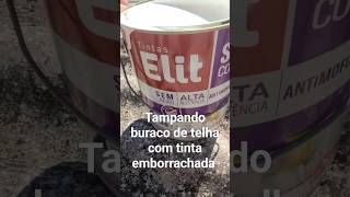 Tampando buraco de telha com tinta emborrachada