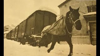 愚昧的清朝：晚晴馬拉火車奇景！|Silent Qing Dynasty: wonderful view of "pull the train by horses" in China