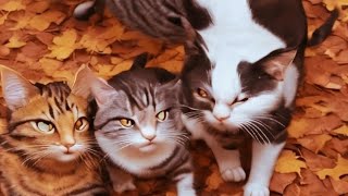 এ আই দিয়ে বিড়ালের ভিডিও তৈরী। Ai video | cat video | #animals #animation #cat #ytshort, ai short.