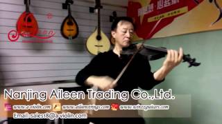 Aileen Music-Wonderful Carbon Fiber Viola Importer, Made in Germany