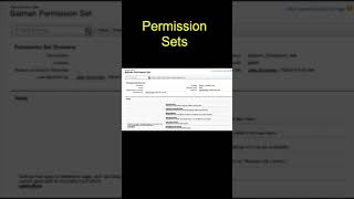 Permission Sets #shorts #salesforce #admin #administration #tips