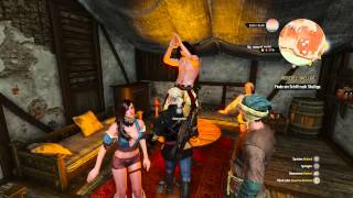 The Witcher 3: Wild Hunt wild sex