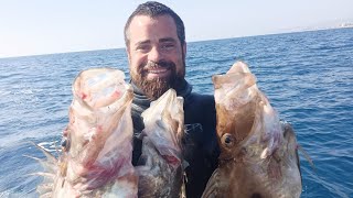 Pesca submarina invierno 2023 y algún San Pedro