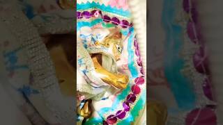 Kanha So jha zra ❤️🙏 #shorts #laddugopal #statusvideo #shortsvideo #radhakrishna #vrindavan