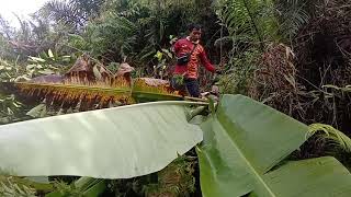 EXPLORE. LADANG SAWIT!!!TEMPAT KITA KERJA..!!!