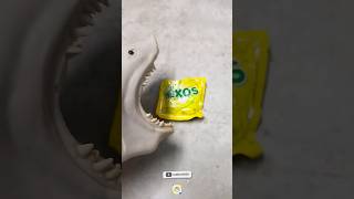 Shark puppet eats Hexos Candy