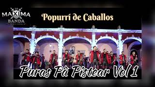 Popurrí de Caballos | La Máxima Banda de Zacatecas (Audio)