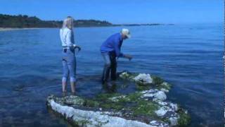 antarctica once a tropical paradise- a Peter Mungo Jupp film-60 min on www.ancientdestructions.com