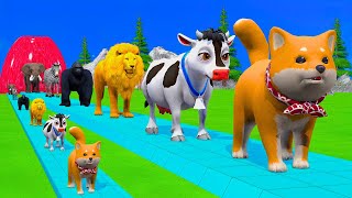 Paint & Animals Cow,Gorilla,Elephant,Lion,Tiger,Dinosaur, Fountain Crossing Transformation Cartoon