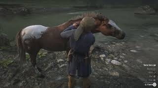 v1.00 | Camping, Hunting and a Trip to Town - Red Dead Redemption 2