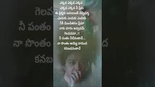 Ekkada Ekkada Nee Prema #telugulyricalsongs #ytshorts #sivaatmikareddym