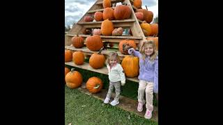 Family in picking Pumpkins