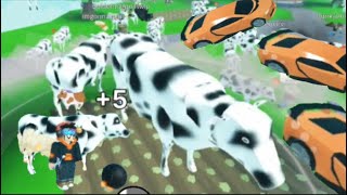 Totally Not Throwing a Cows