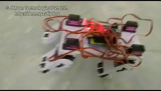 Robot Dog Walking Test 1