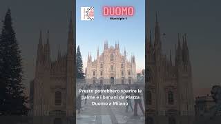 Milano Quartieri Duomo 1 Via Palme e Banani #shorts #shorts #milano #duomo #italy