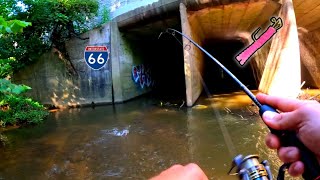 Unexpected Micro FISHING Adventure Under Major Highway with TROUT MAGNET