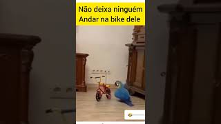 não deixa ninguém #andar na #bike dele #shorts😆