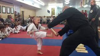 Taekwondo front kick