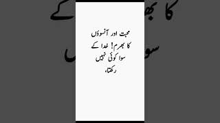 محبت اور آنسوؤں کا بھرم #youtubeshorts #deeplines #quotes #trendingshorts #urduquotes #deepqoutes