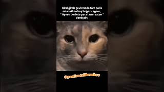 O ağana gönder şom agızlı #shortsclip #shortsvideo #komedi #shortvideo #kısakomedi