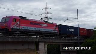 E483 019 di Oceanogate in transito con carico di containers