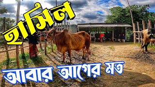 হযরতপুর হাট দিয়ে আবার গরুর হাটে হাটাহাটি শুরু করলাম || Purbasha Agro 🤩🐂