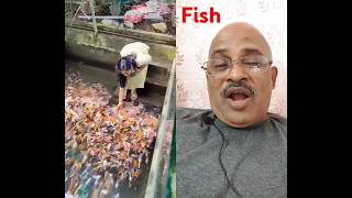 मछली 🐠 #shorts #fish #fishing #vipul #youtubeshorts #funny#trending