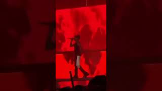 Wizkid performing "Piece Of My Heart" for the first time at World Creole Music Festival, Dominica