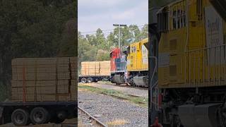 Tren Con Consist Colorido A Punto De Impactar A Un Trailer #ferrocarril #mexico