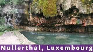 Wandering through breathtaking nature of Mullerthal, Luxembourg || StayAway