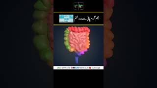 Relieve Pain with Lukewarm Water | نیم گرم پانی سے درد ختم  | Health TV | Urdu Hindi